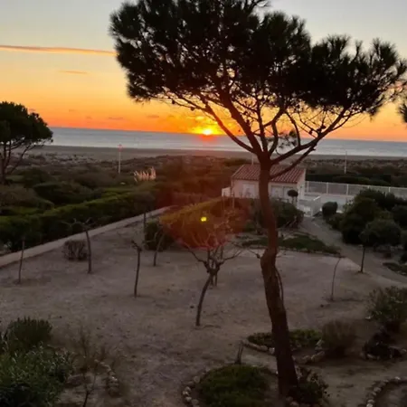 Daire Vue Et Avec Piscine *